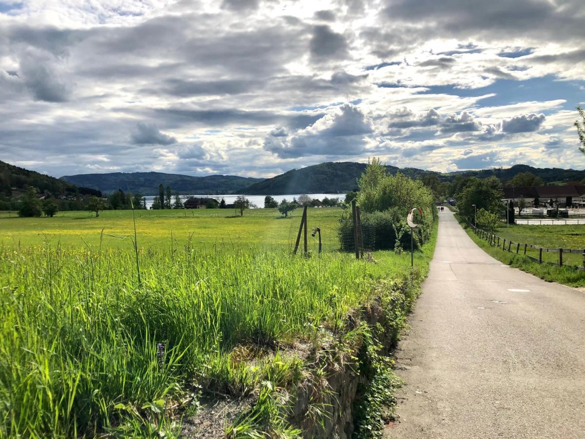 Danner Familien-Ferienwohnungen Schoerfling Am Attersee エクステリア 写真